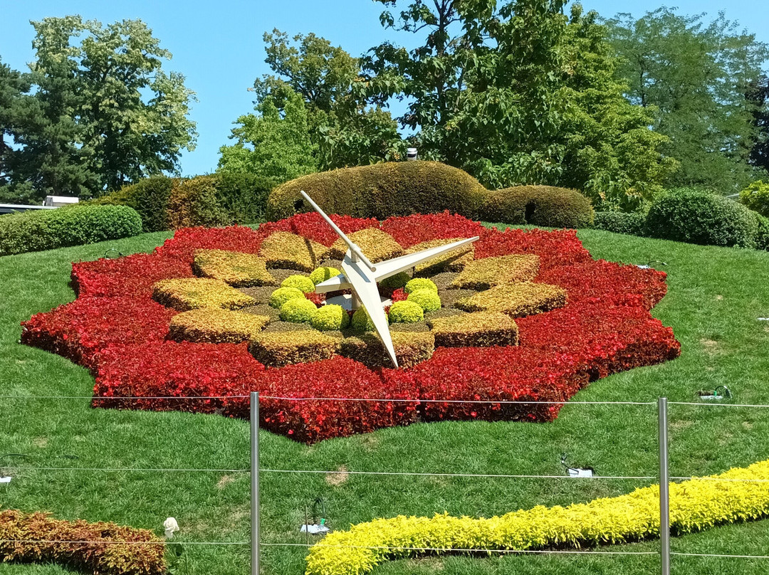 The Flower Clock-日内瓦必去景点