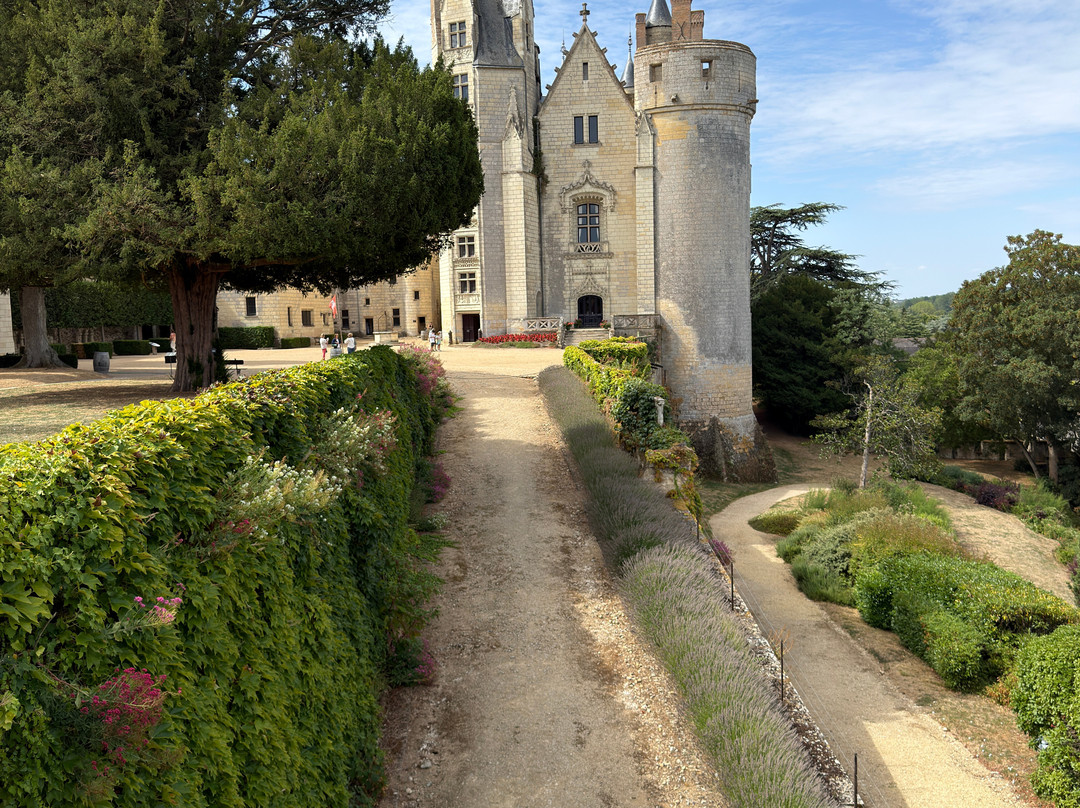 Chateau de Montreuil-Bellay-Montreuil-Bellay必去景点