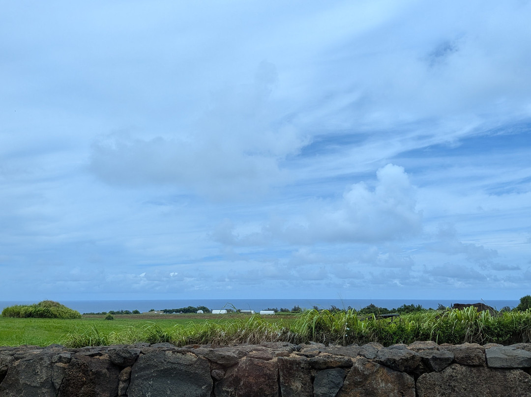 Hawaiian Organic Noni-基拉韦厄必去景点