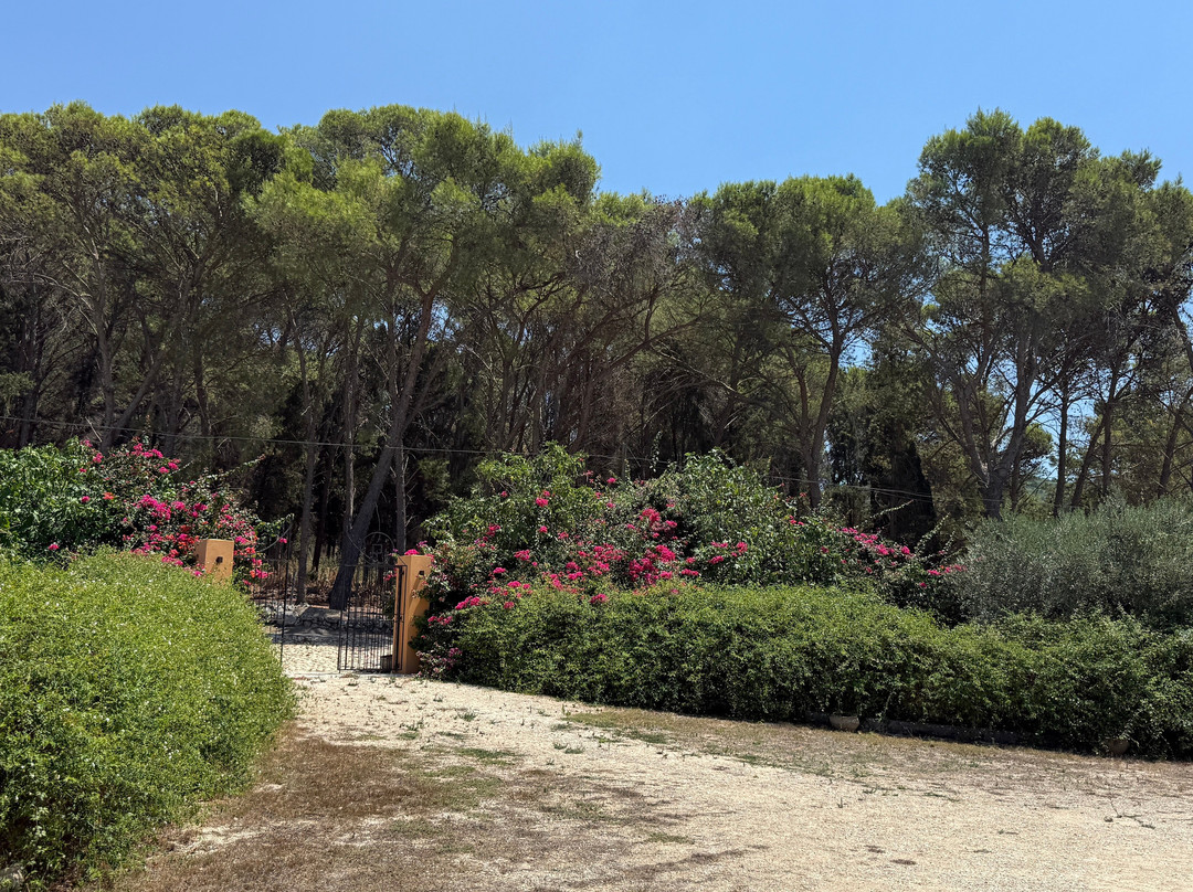 Planeta Winery-Sambuca di Sicilia必去景点