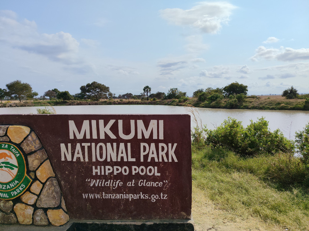 Mikumi National Park-米库米国家公园必去景点
