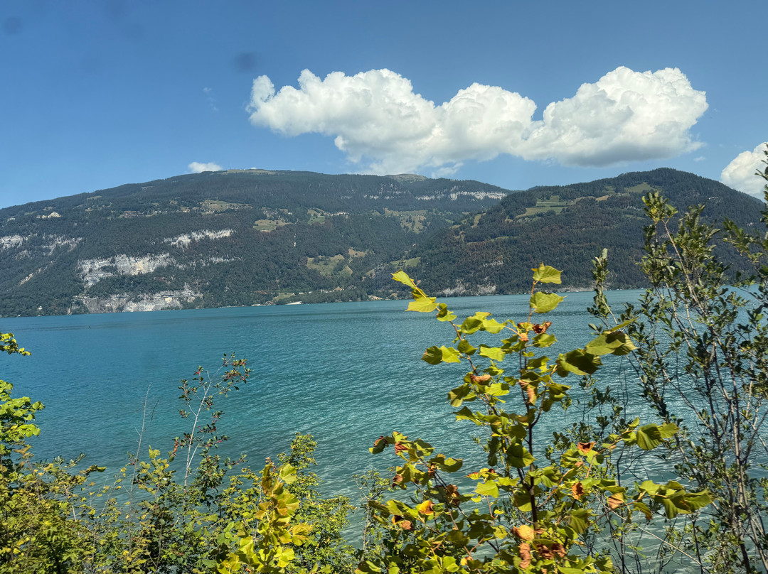 Lake Brienz-布里恩茨必去景点