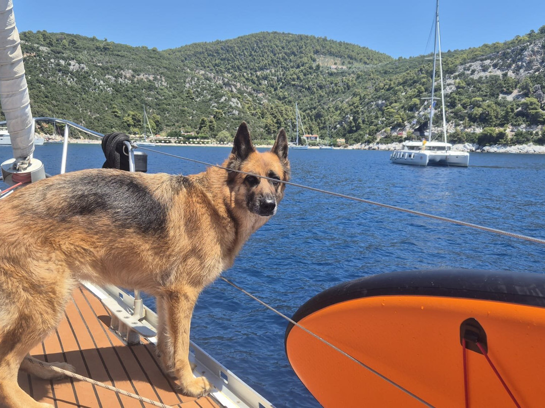 Waterandsnow-Skiathos Town必去景点