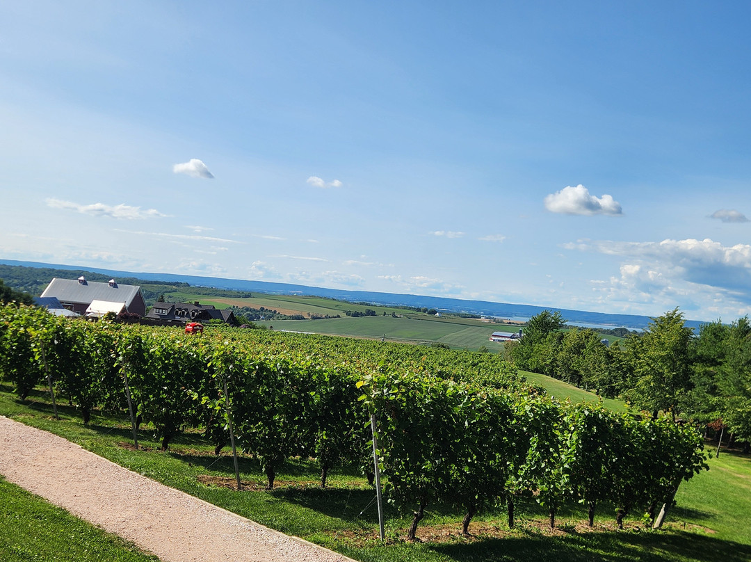 Luckett Vineyards-Wolfville必去景点