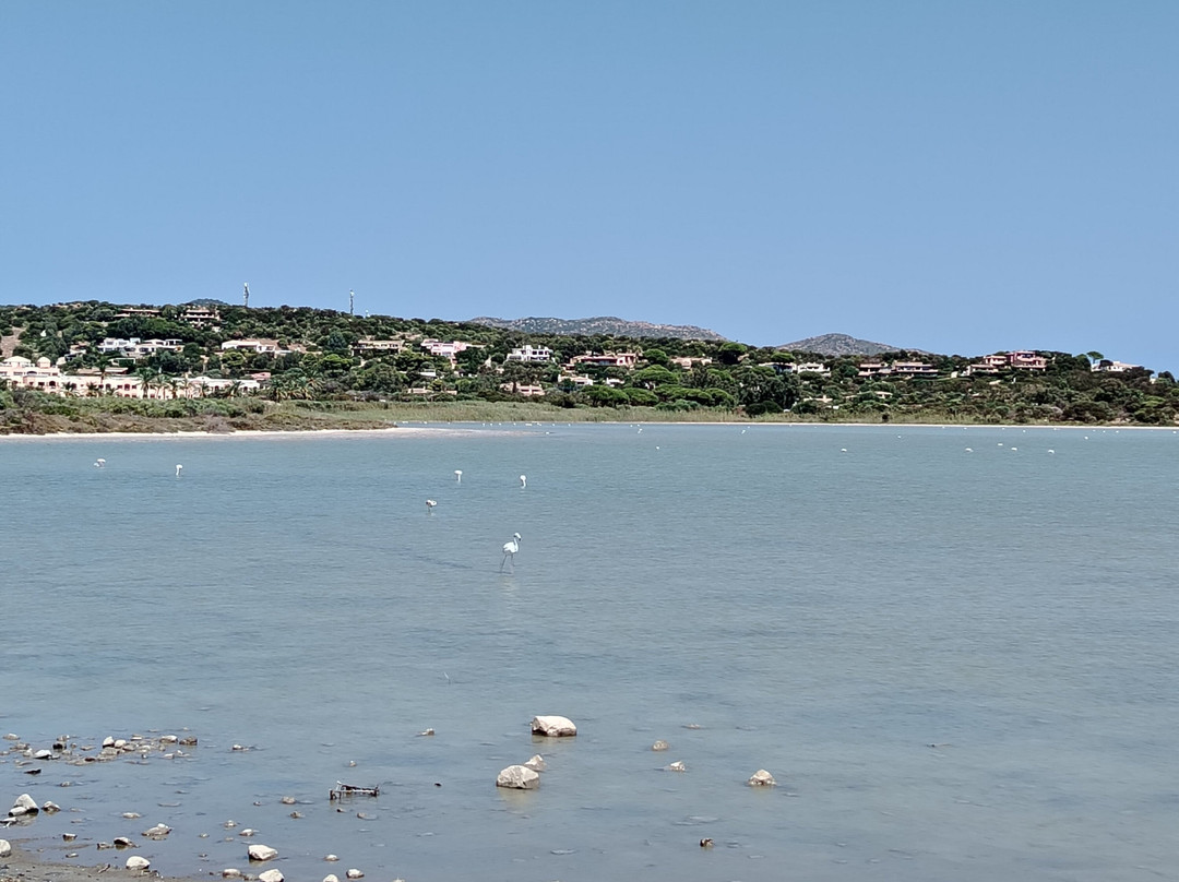 Spiaggia di Porto Giunco-维拉西谬斯必去景点