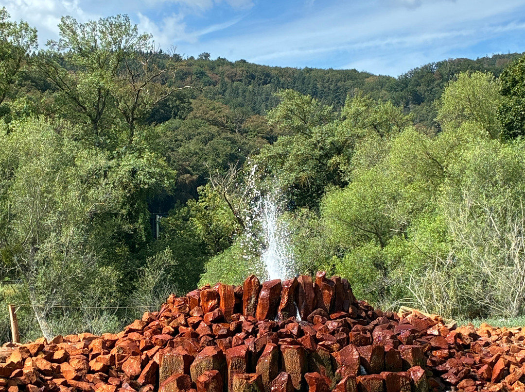 Geysir Andernach-安德纳赫必去景点