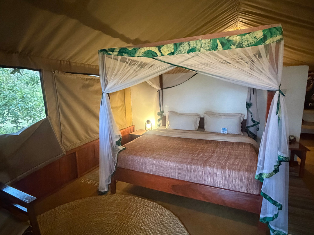 Karatu Tented Lodge主图