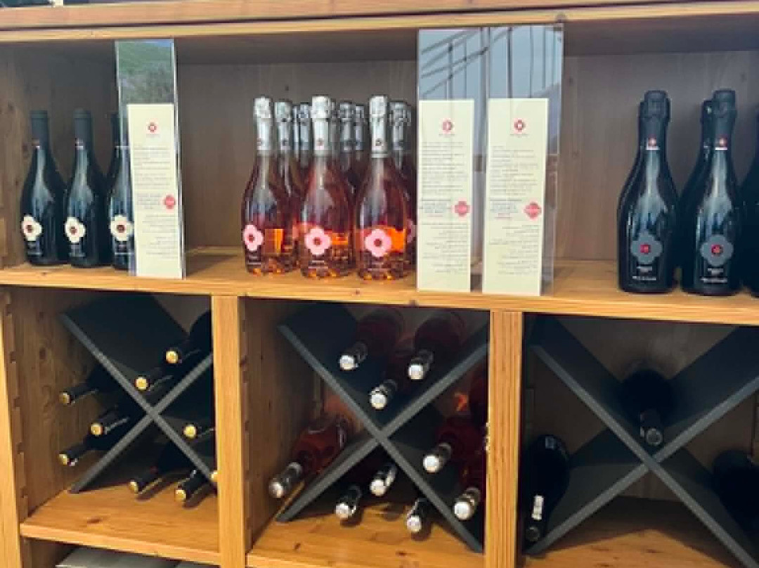 Azienda Agricola Rechsteiner-奥德尔佐必去景点