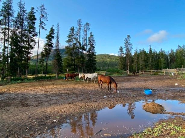 Bear Creek Guest Ranch-度假村/酒店