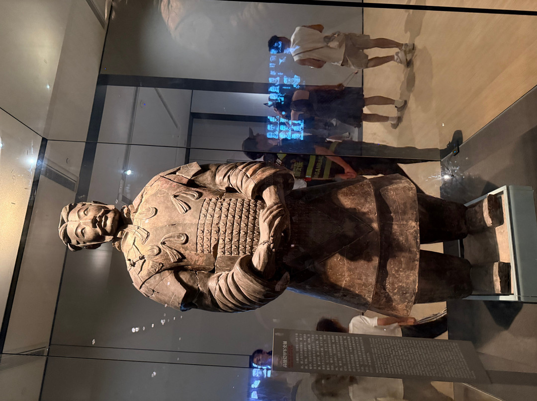 Mary’s Xian Tours-西安市必去景点