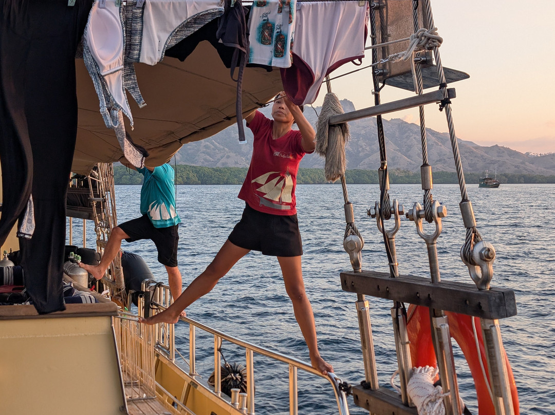 Adelaar | Raja Ampat & Komodo Liveaboard-Serangan必去景点