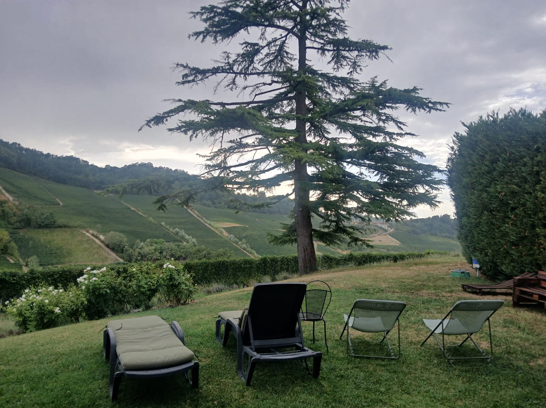 Costa di Bussia - Tenuta Arnulfo-蒙福特-达尔巴必去景点