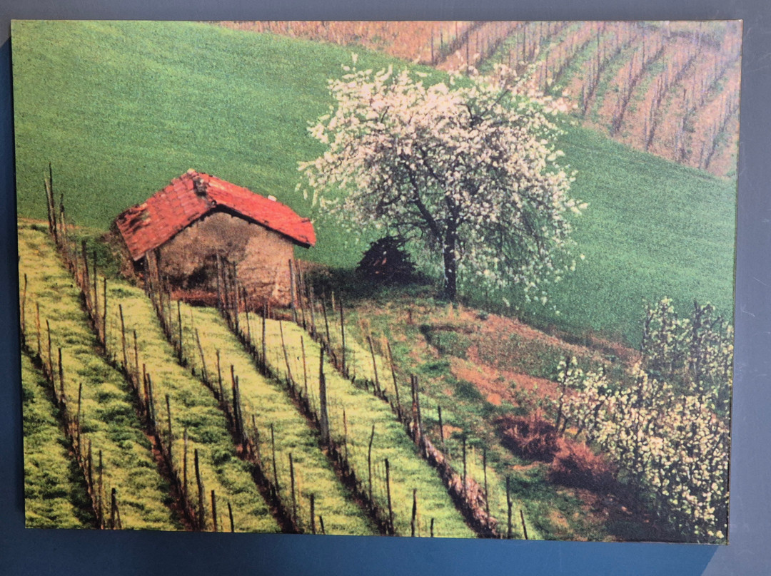 WiMu - Museo del Vino a Barolo-巴罗洛必去景点