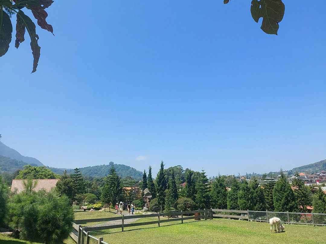 Bali Farm House-Pancasari必去景点
