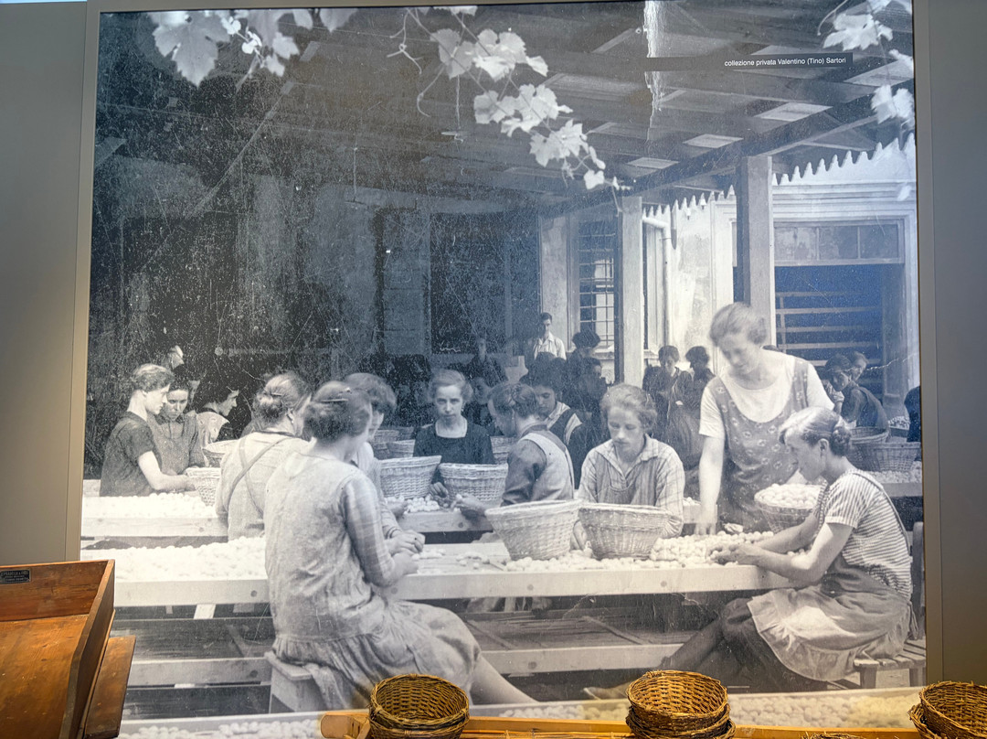 Museo del baco da seta-维托里奥威尼托必去景点