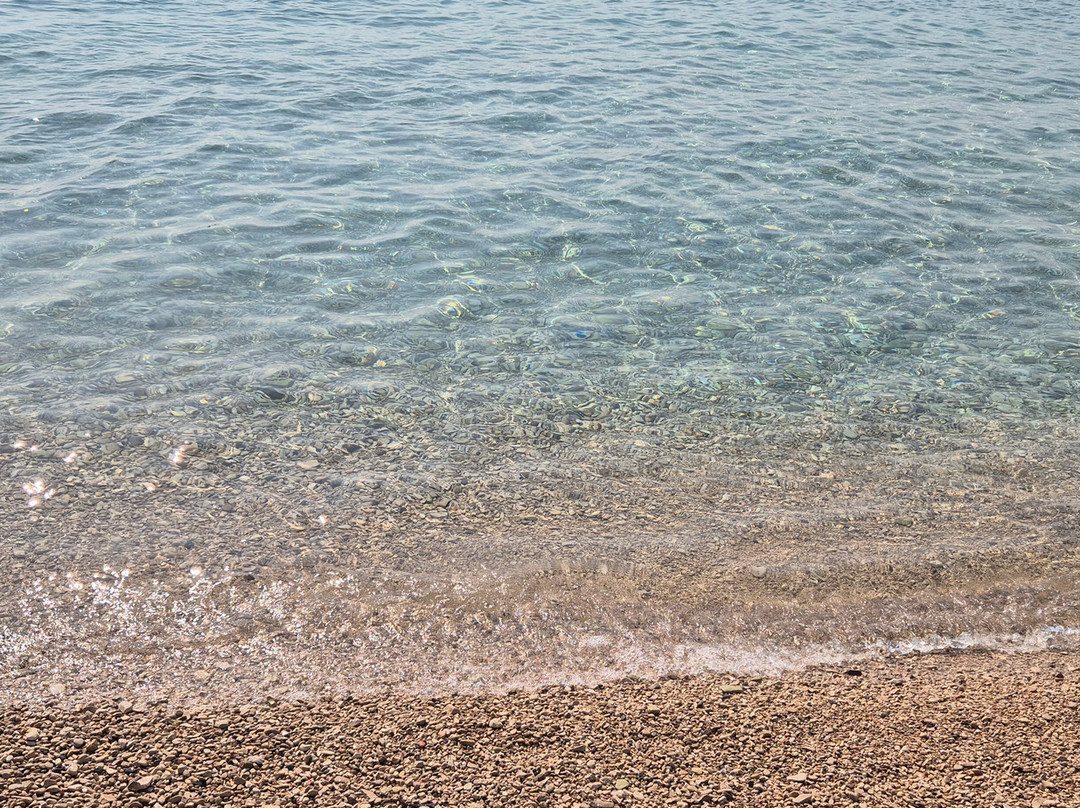 Zlatni Rat Beach-波尔必去景点