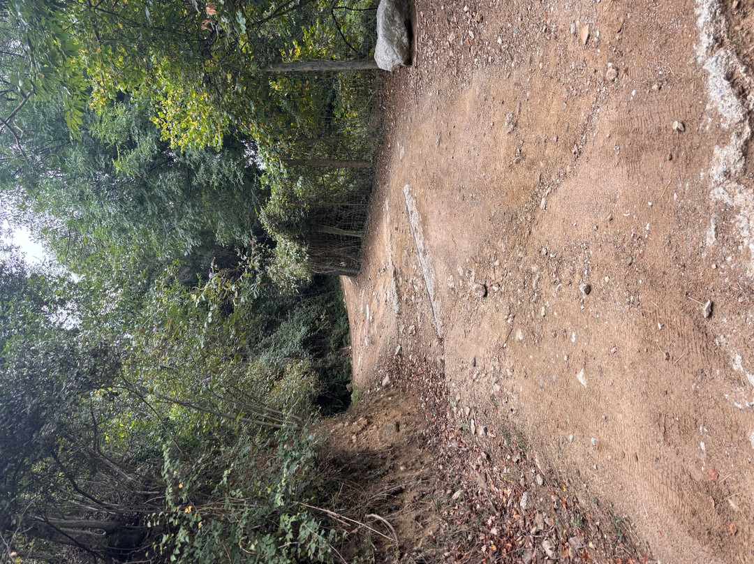 Parc Animalier De Casteil-Casteil必去景点