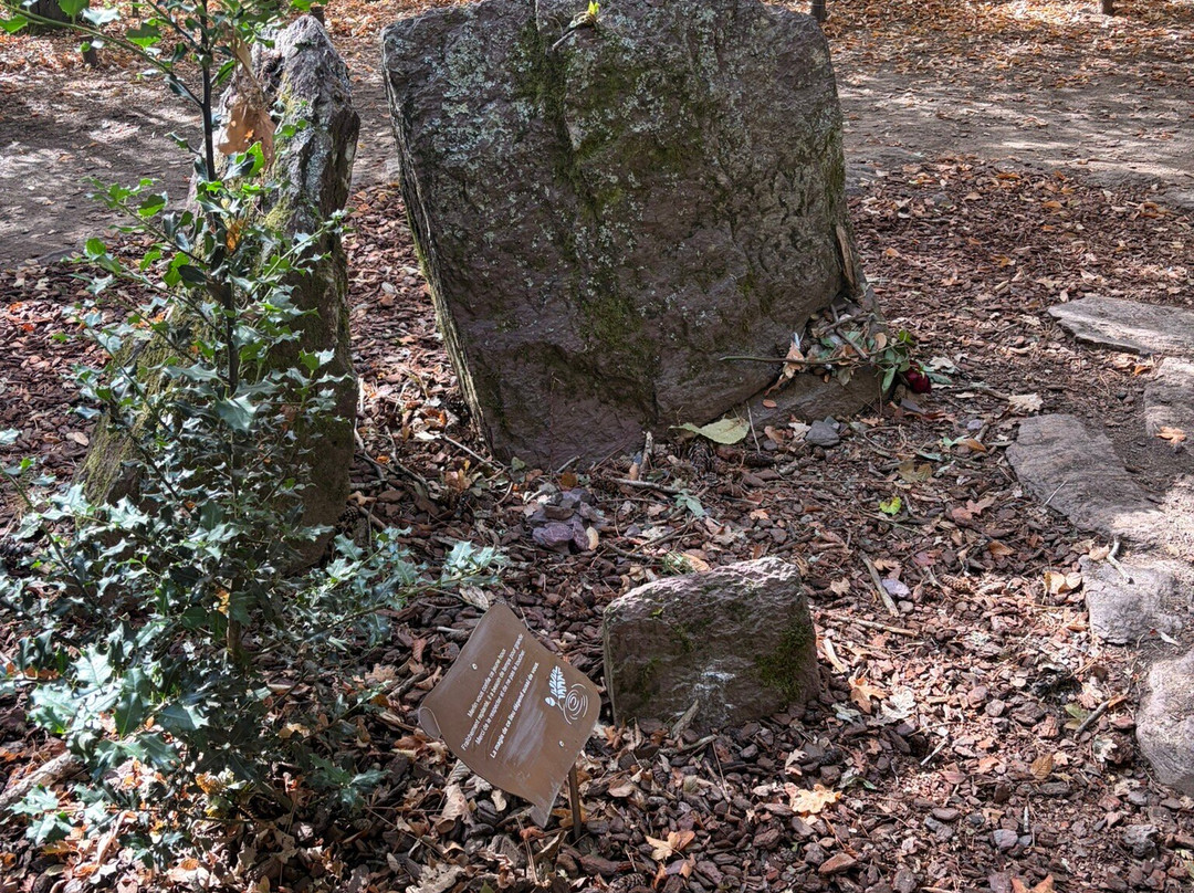 Broceliande, La Porte Des Secrets-Paimpont必去景点