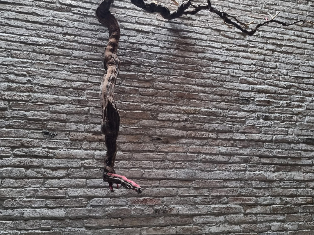 Azienda Agricola Bulgarini - Cantina Bulgarini-Pozzolengo必去景点