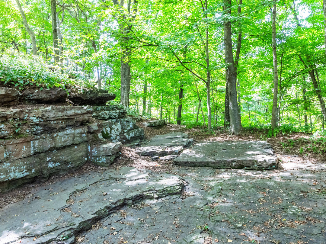 Powder Hill Dinosaur Park-Middlefield必去景点