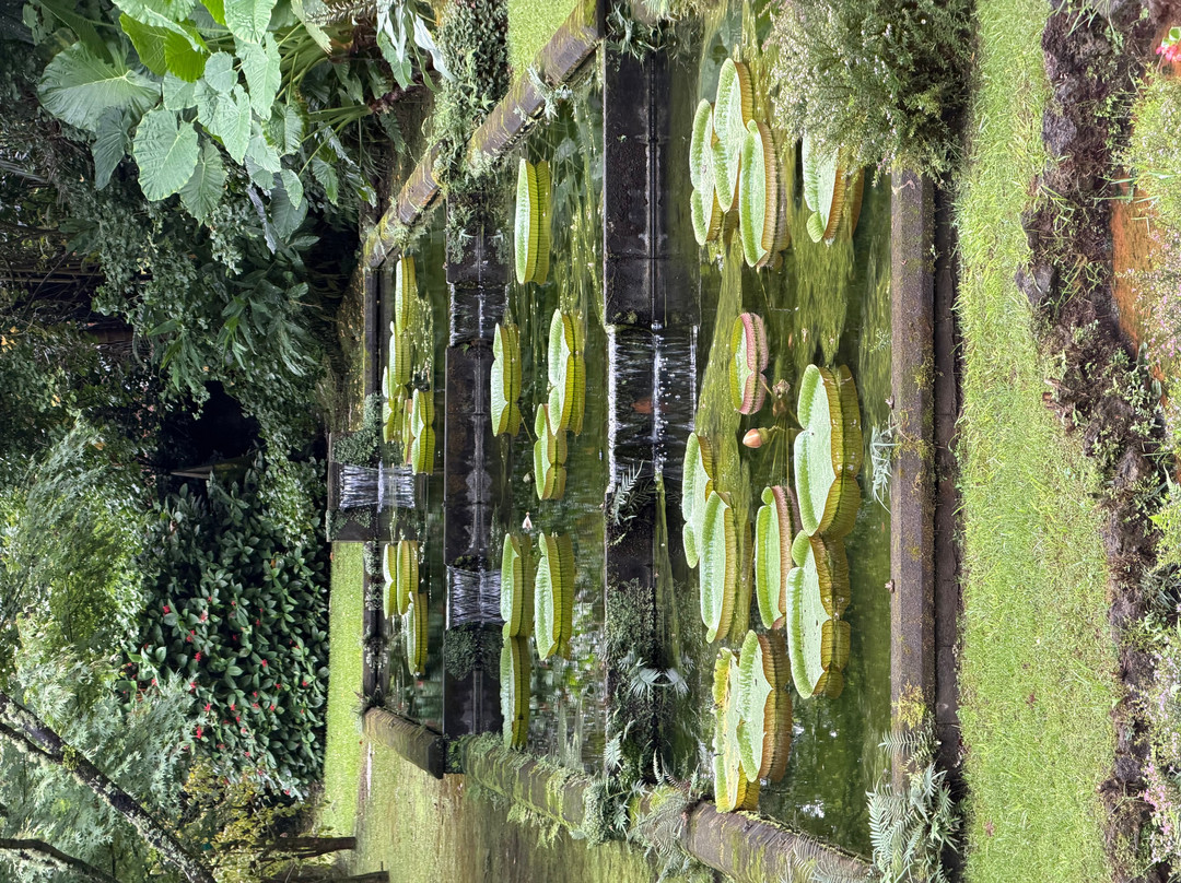 Parque Terra Nostra-富尔纳斯必去景点