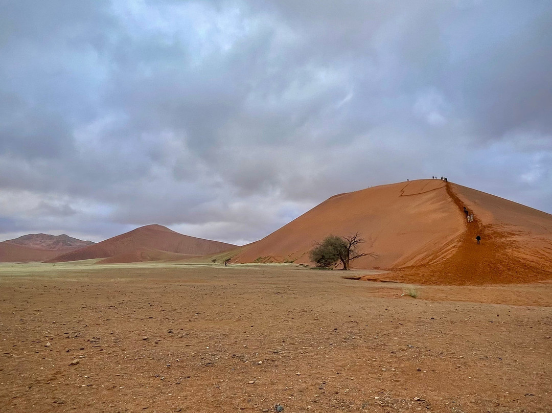 Sossusvlei-Namib-Naukluft Park必去景点