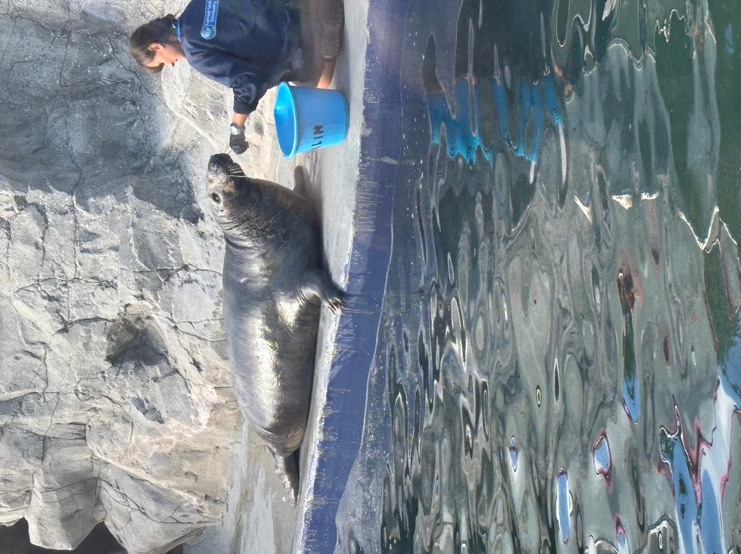 Cornish Seal Sanctuary-Gweek必去景点