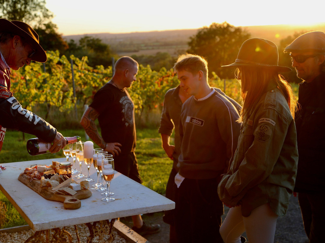 Latitude 51 Vineyards-Calne必去景点