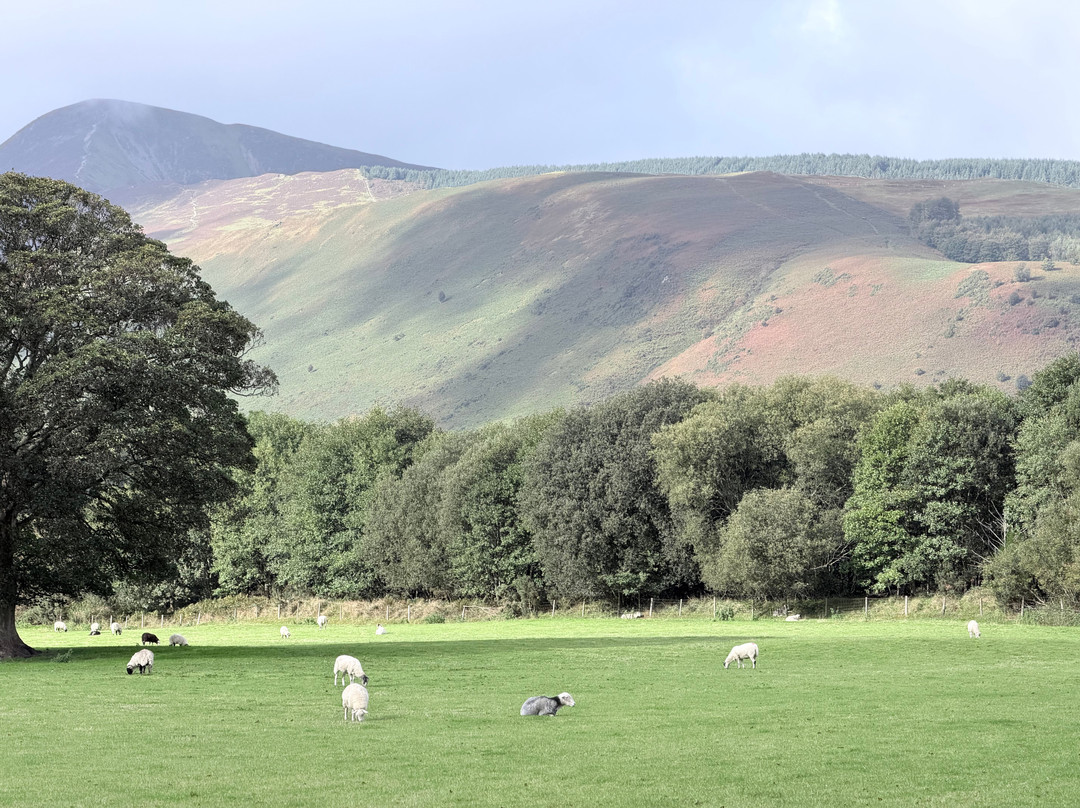 Derwent Bank主图