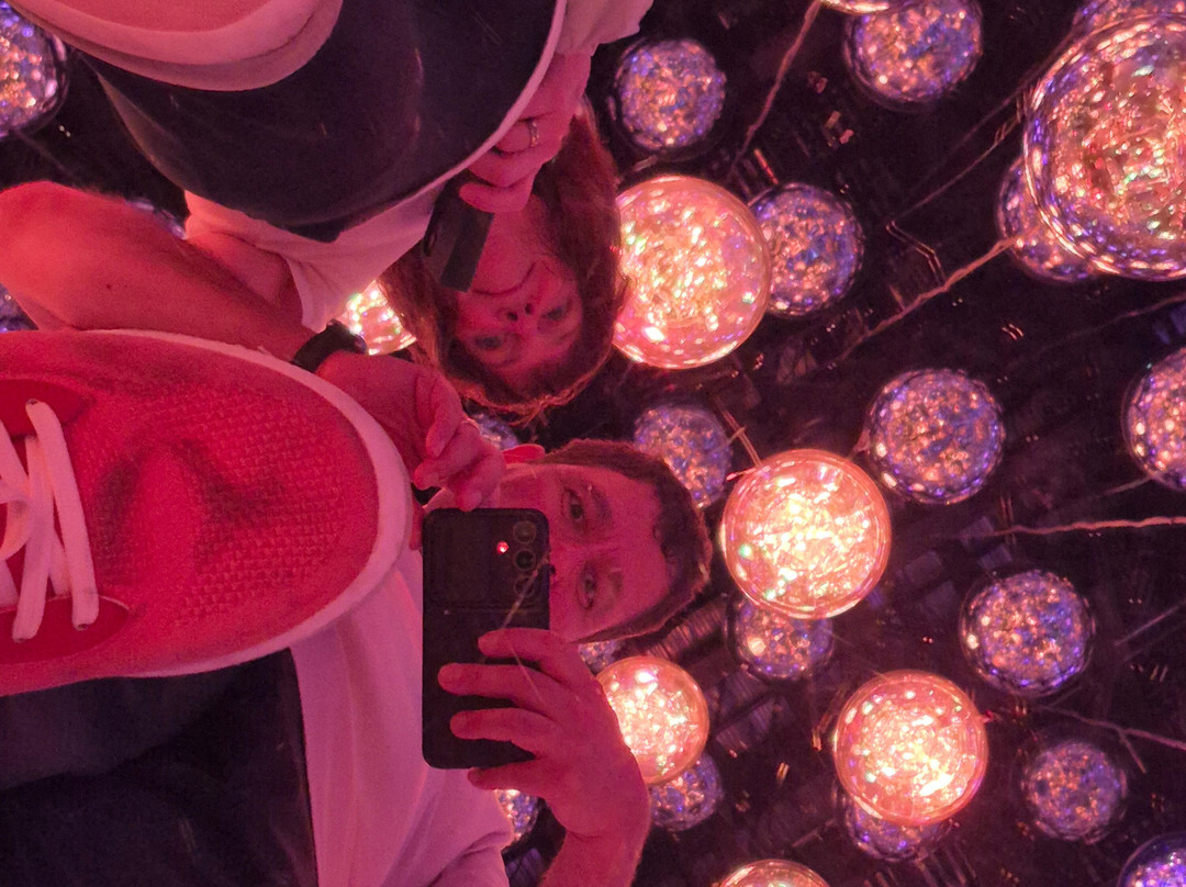Teamlab Borderless Tokyo-港区必去景点