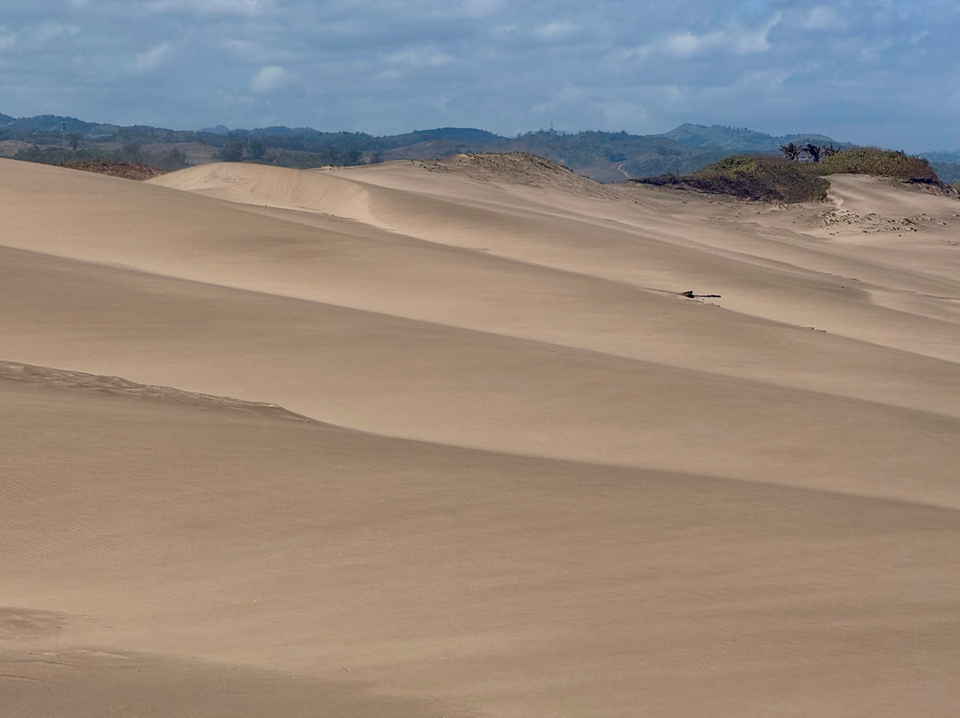 Sigatoka Sand Dunes National Park-辛加东卡必去景点