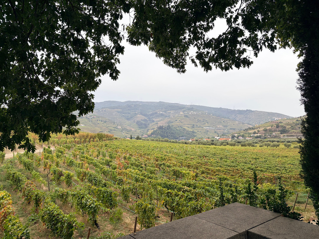 Quinta da Pacheca-Lamego必去景点