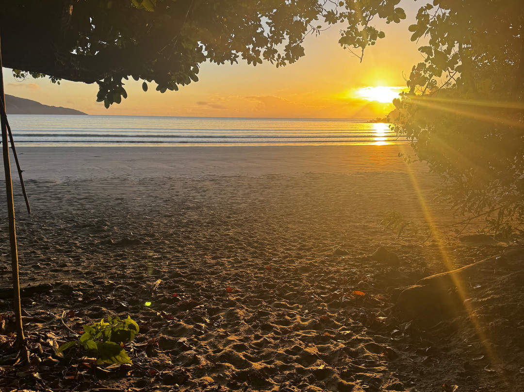 Hinchinbrook Island Cruises-卡德威尔必去景点