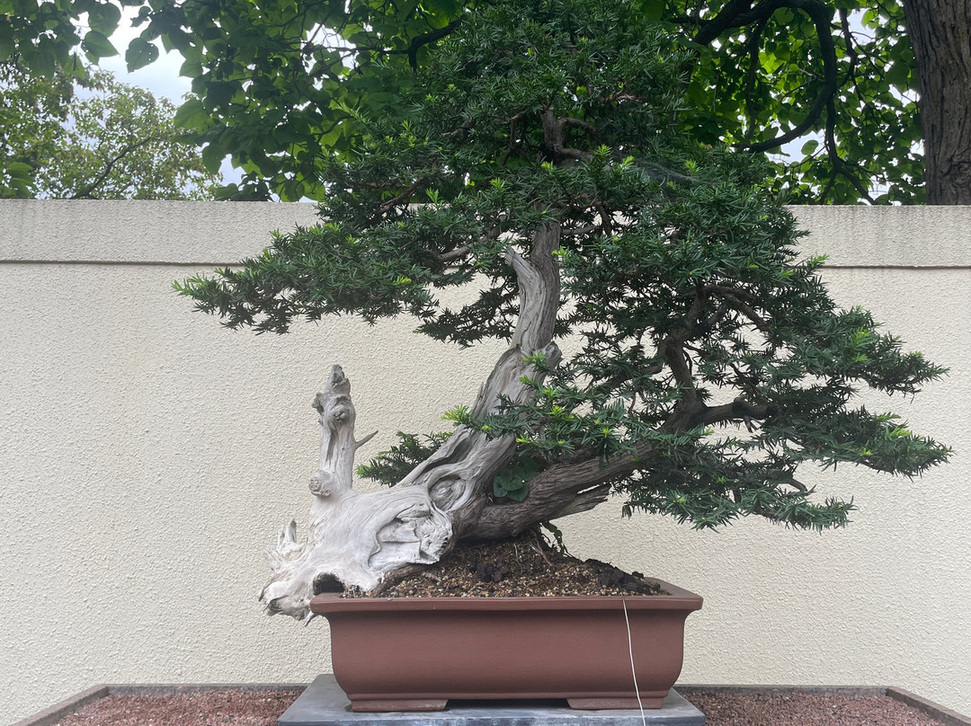 蒙特利尔植物园-蒙特利尔必去景点