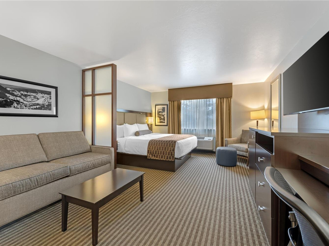 布埃纳维斯塔酒店住宿-Best Western Vista Inn