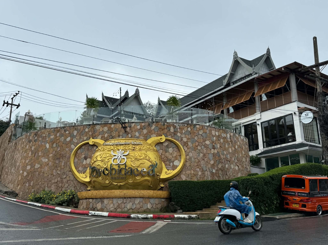普吉岛兰草度假酒店主图