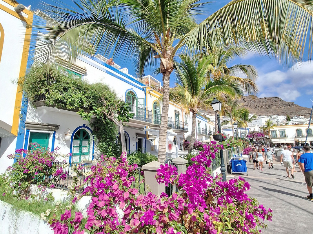 Puerto De Mogán-莫干港必去景点