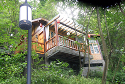 森林温泉度假村-官方