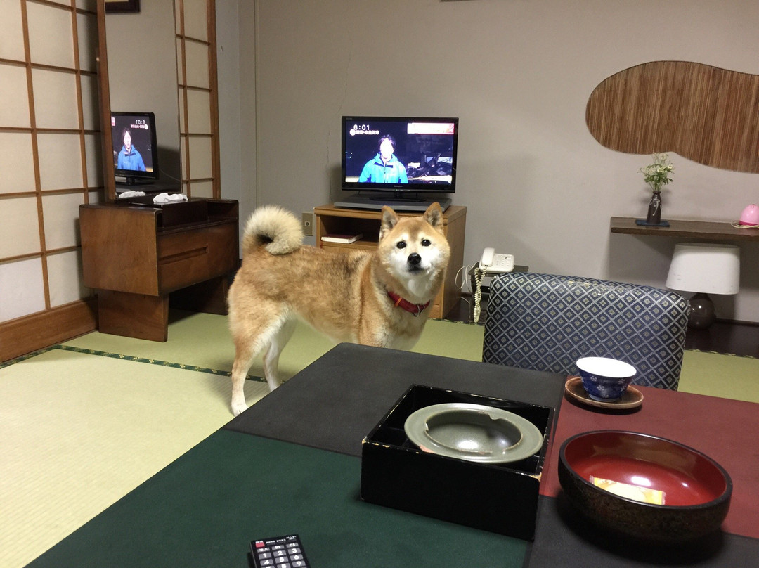 鸣门市酒店住宿-Mizuno Ryokan