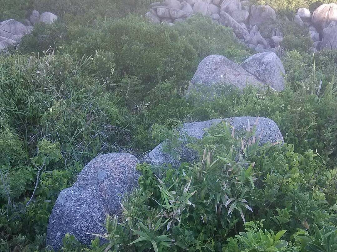大花角-万宁市必去景点