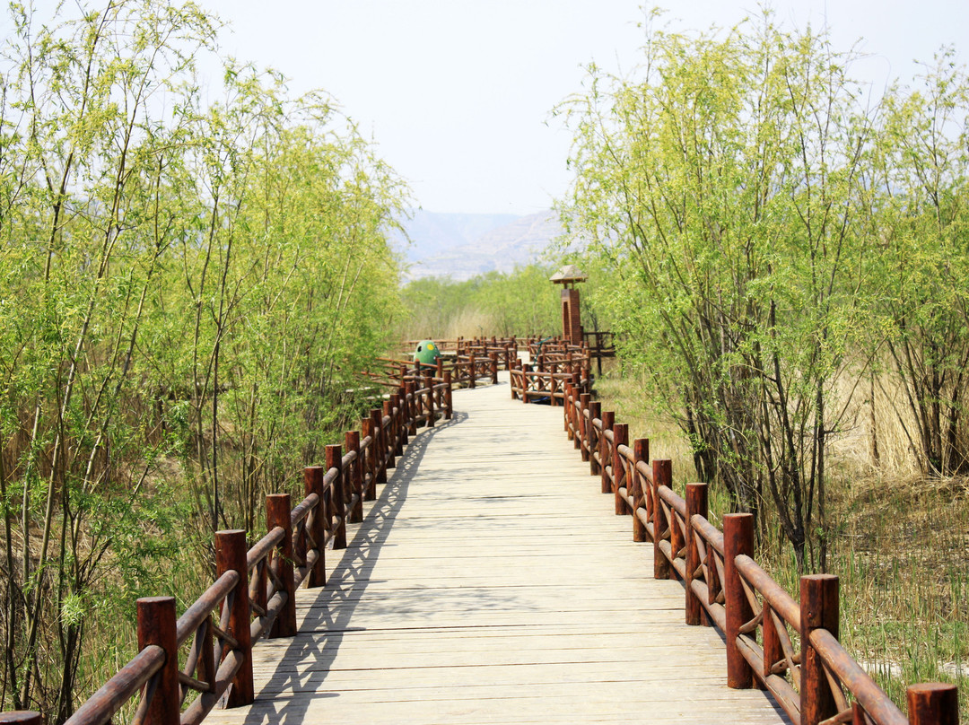 洽川风景名胜区-合阳县必去景点