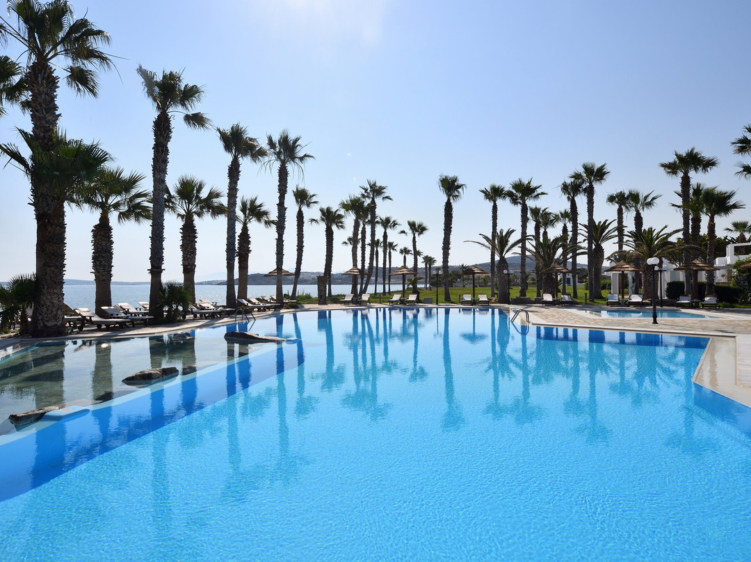 Astir Of Paros