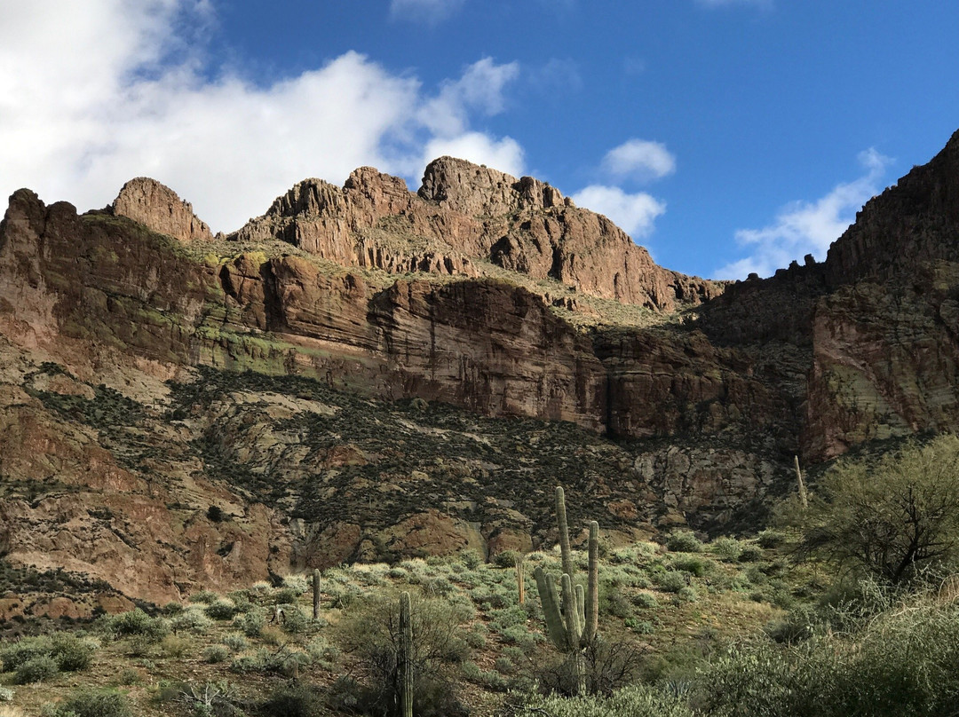 Tonto National Forest景点图片
