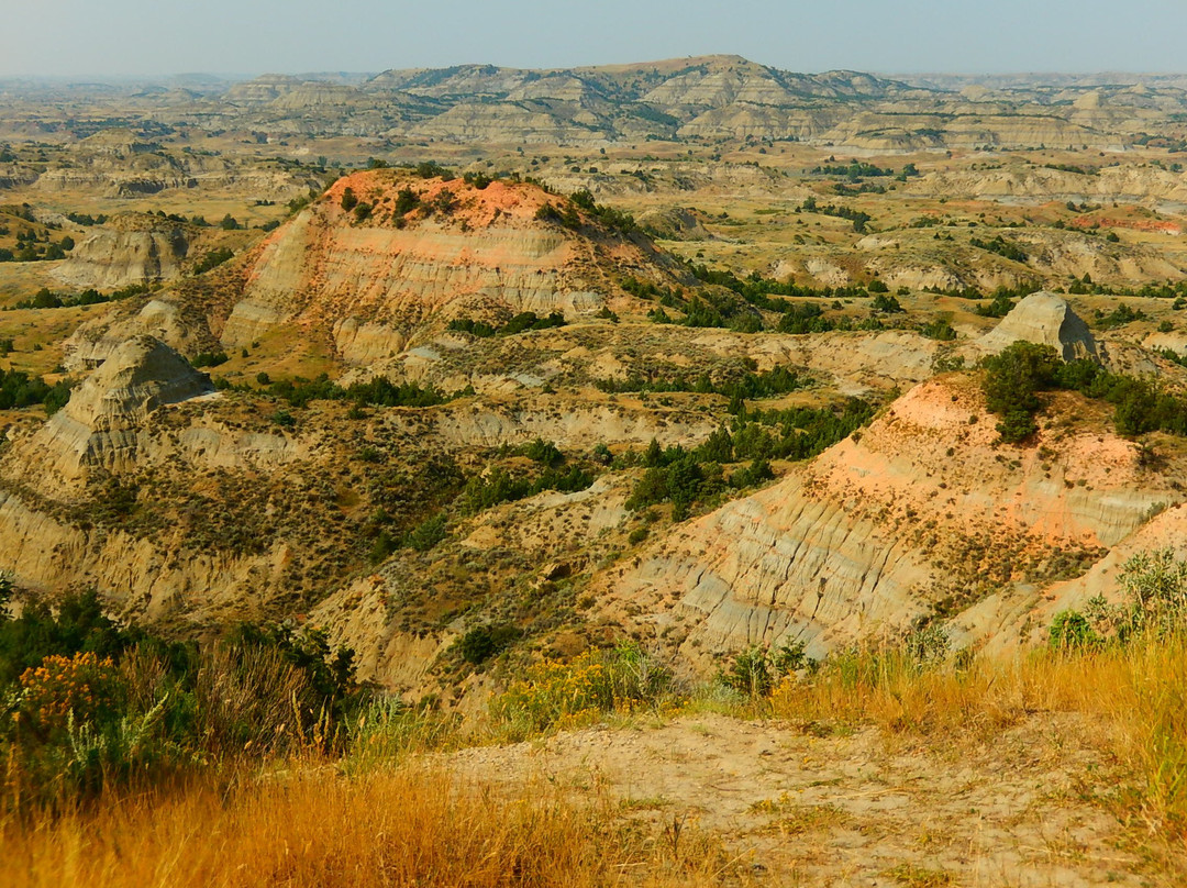 Painted Canyon Overlook景点图片