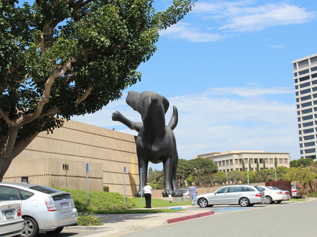 Orange County Museum of Art景点图片