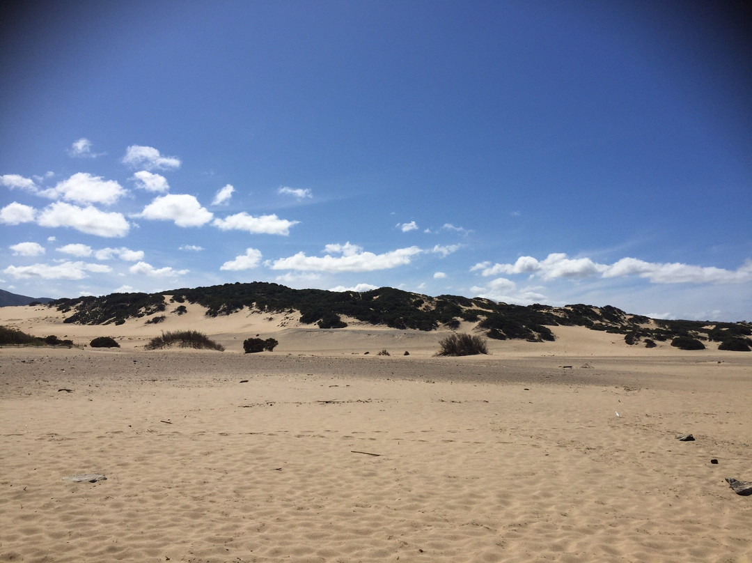 Spiaggia Le Dune di Piscinas景点图片
