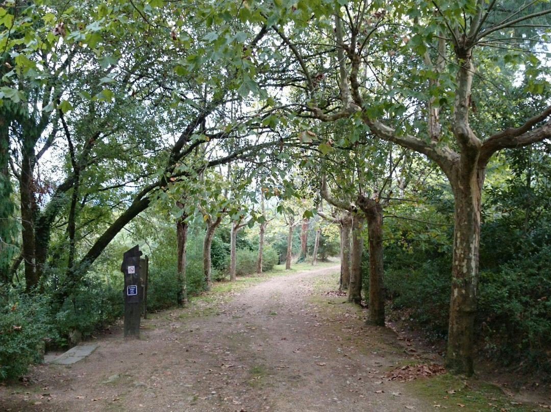 Mata Nacional de Vale de Canas景点图片