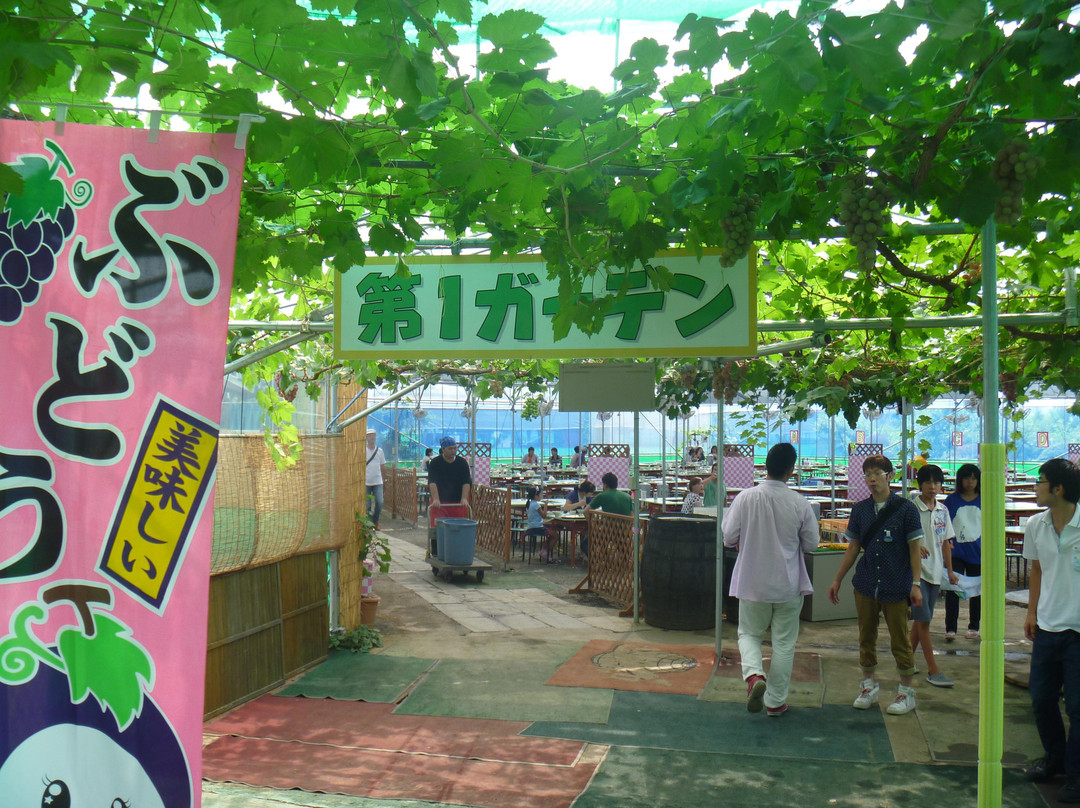 Misaka Farm Grape House-笛吹市必去景点