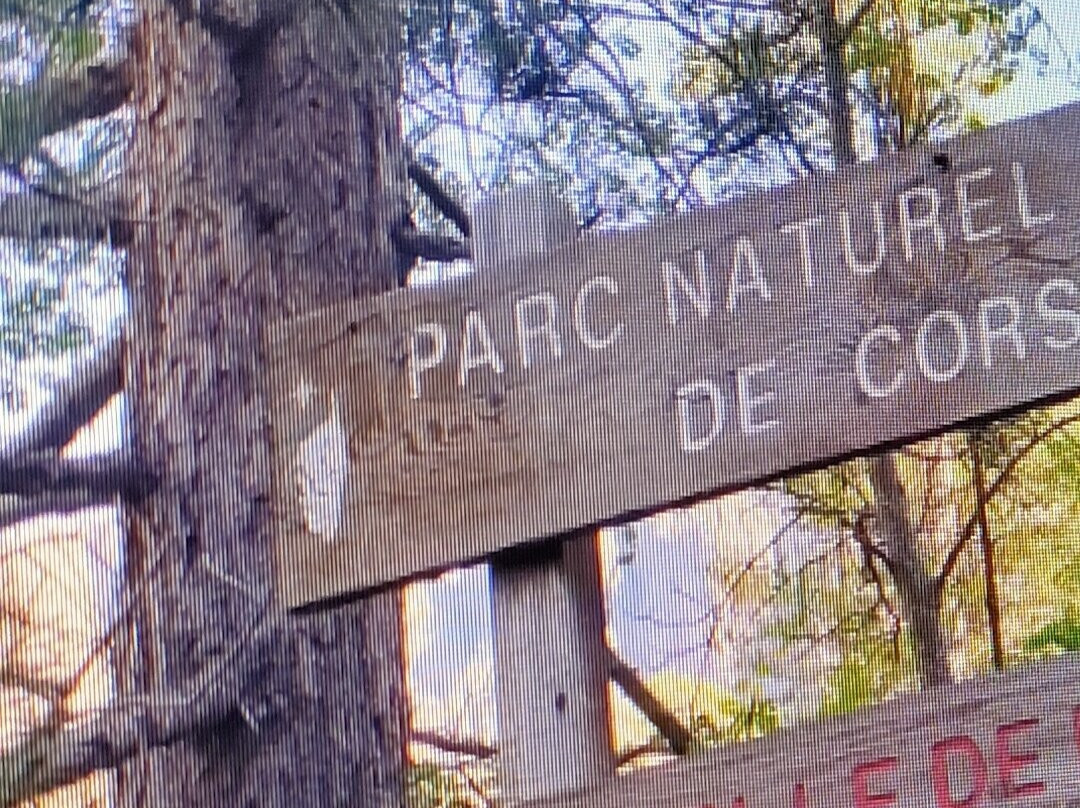 Couleur Corse-阿雅克肖必去景点