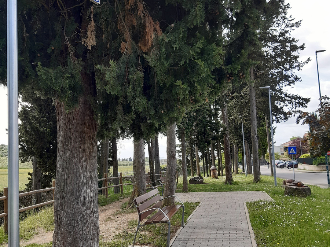 Campo da Gioco il Giardino Incantato di Bagnolo